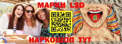гидра Будённовск