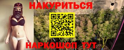 гидра Будённовск