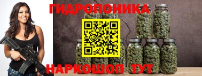 гидра Будённовск
