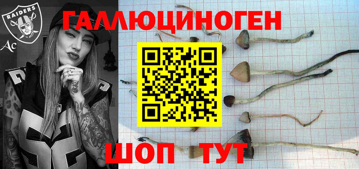Псилоцибиновые грибы GOLDEN TEACHER  Вход с VPN  где можно купить   Нарьян-Мар 