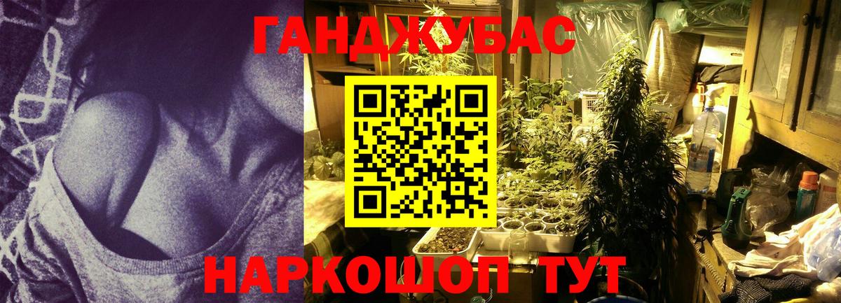 Бошки Шишки план Нарьян-Мар